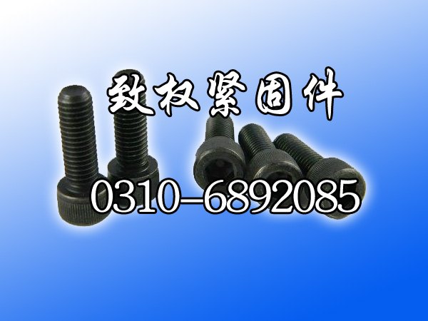 【厂家直销优质8.8级内六角螺栓】致权紧固件供应