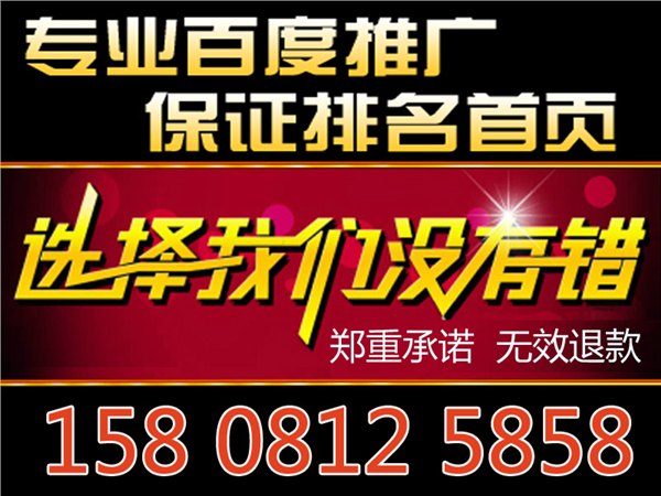 攀枝花信誉好的百度推广排名公司推荐——百度排名价