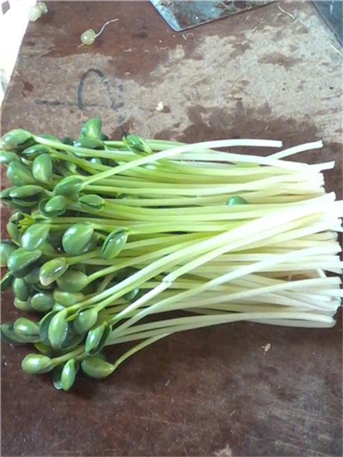 青州庆华豆芽机无公害豆芽黄石豆芽机