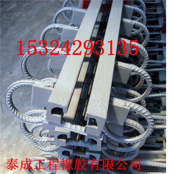 天津伸缩缝桥梁伸缩缝供应商
