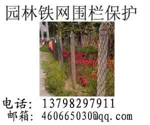 深圳花木混凝土防护柱边坡围护水泥柱杆