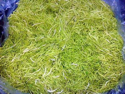 茶叶微波杀青机