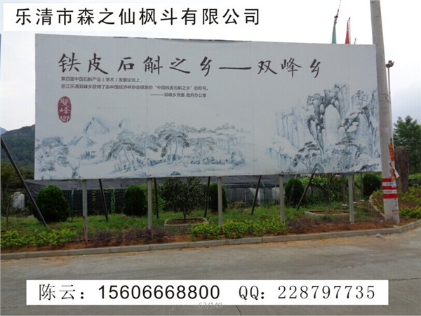 铁皮石斛吃3个月拿出惊人CT片