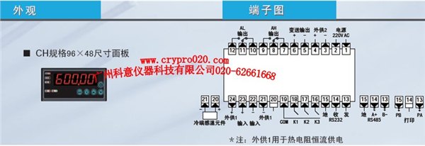 XSE6 XSE6系列高精度数字式智能仪表