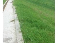 【壹顺】生态混凝土添加剂，合肥生态混凝土添加剂厂
