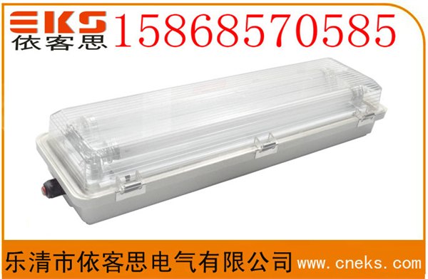 BAY51-Q-2X18WL吊链式防爆防腐全塑荧光灯双管荧光灯日光灯