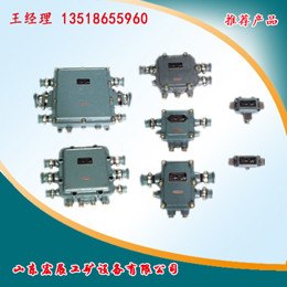 BHD2矿用隔爆型低压电缆接线盒专一产品