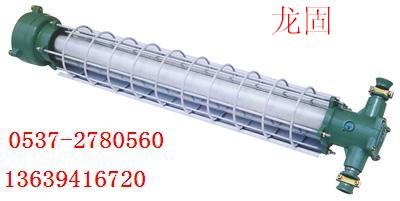 DGS-20／127Y矿用隔爆型荧光灯 