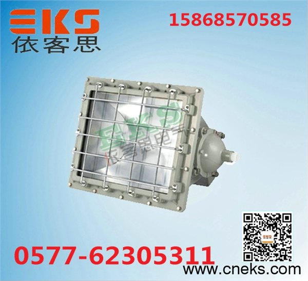 BTD-L70/L100/L150/L175高强度防爆泛光灯工业照射
