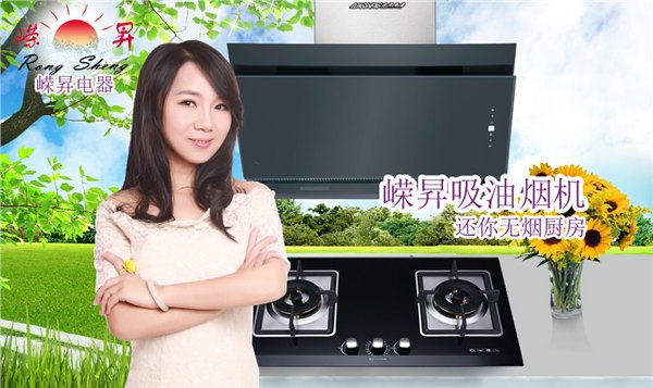 中山市嵘升厨房电器