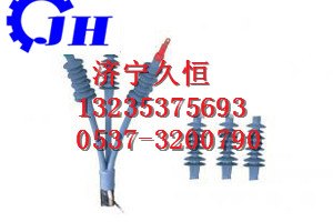 NLS-10/3.1全冷缩三芯户内终端久恒报价
