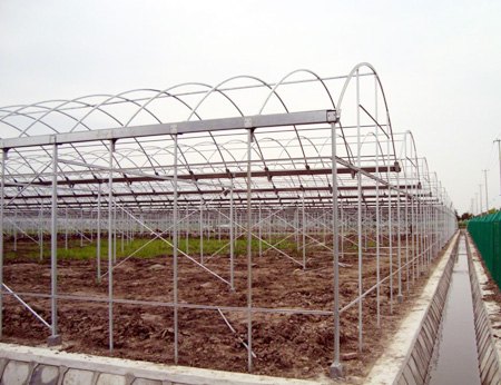 【智能温室大棚建设】【连栋温室大棚造价】金威