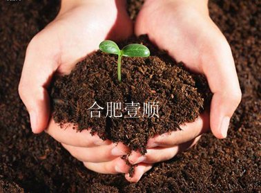 【最新报价】合肥蘑菇土，合肥蘑菇土价格，合肥蘑菇