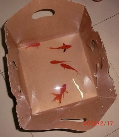 供应防水纸箱、浸蜡纸箱