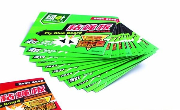 怎样才能找到称心的专业灭鼠