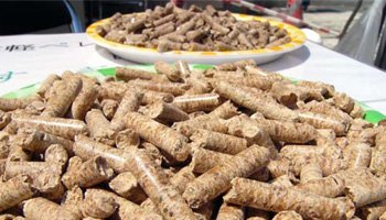 重庆节约成本环保无污染用什么，生物质颗粒燃料