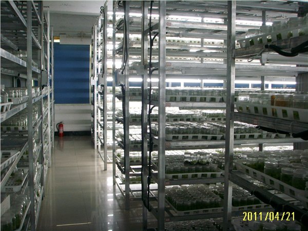 福建pvc种植槽|厦门黑土农业科技有限公司