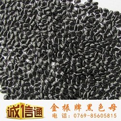 黑色母厂价提供