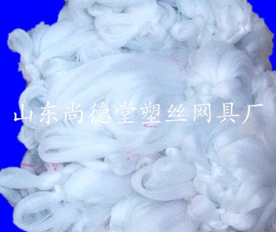 蓝莓防鸟网  水果保护神