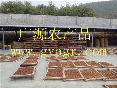 平乐县广源农产品有限公司纯天然加工广西桂林柿饼获