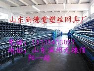 葡萄防鸟网 护鸟 保果