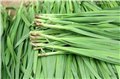 山东蔬菜购销，山东蔬菜收购，山东保鲜蔬菜