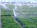 陕西移动喷灌、半移动喷灌【技术指导】