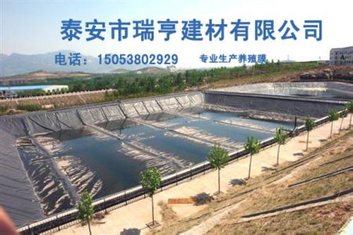 养殖膜,山东养殖膜价格图,瑞亨建材