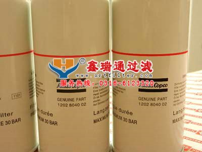 SF250M25翡翠滤芯价格起势
