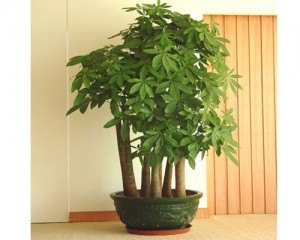 榆林电缆绝缘穿刺线夹