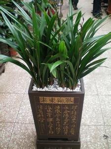 德阳装饰檐沟落水系统