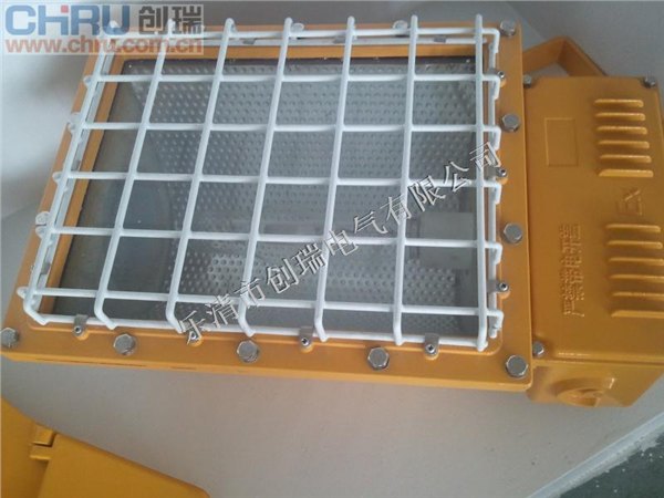 30WLED防爆灯 防爆灯 led防爆灯
