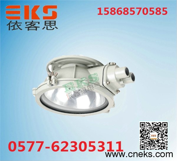 BAX51-100汽车防爆吸顶灯IP54防爆节能灯双支防爆灯