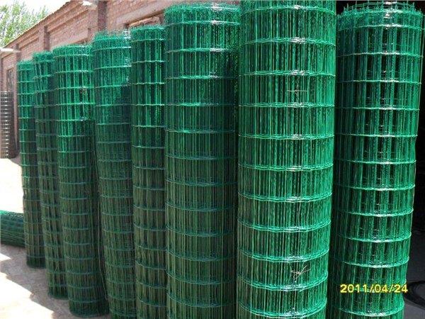哪里卖PVC涂塑荷兰网现货，PVC涂塑荷兰网低价