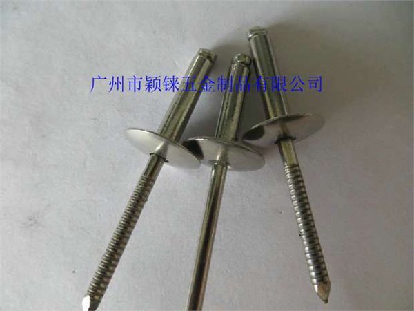 大帽沿抽芯铆钉 不锈钢304/碳钢铁/铝埃特铆钉拉铆钉