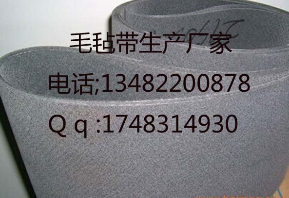 上海毛毡输送带