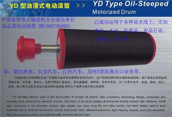 YD油浸式电动滚筒/微型电动滚筒