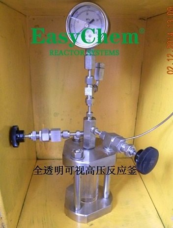 浙江供应全透明可视高压反应釜