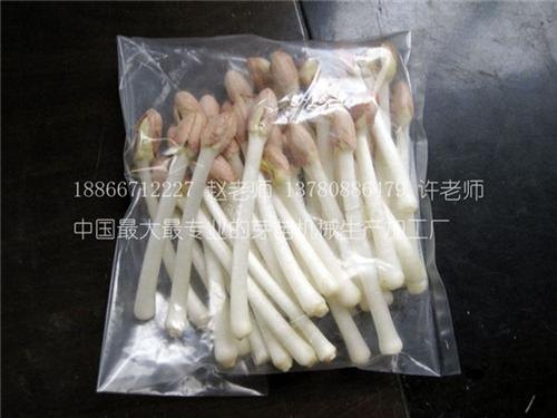 榆林花生芽机_青州庆华豆芽机_新型花生芽机