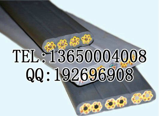 TVVBP屏蔽扁电缆，天车扁线，天车扁线，12*0.75 