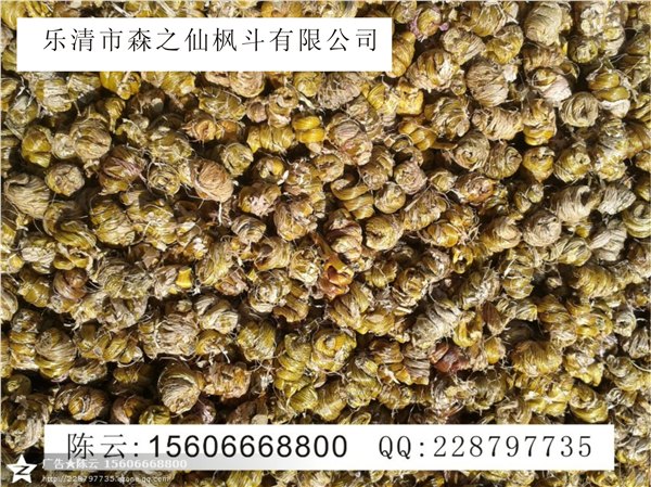 铁皮石斛养胃护身