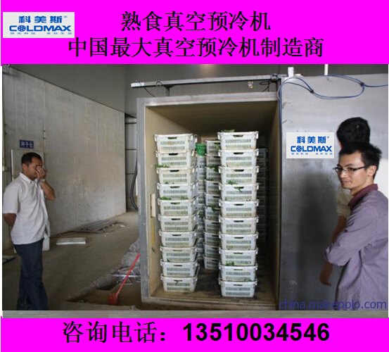 果蔬保鲜真空预冷机 果蔬加工设备