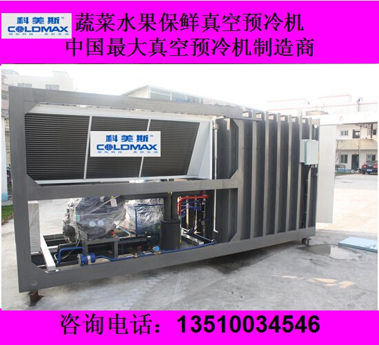 果蔬保鲜真空预冷机 果蔬加工设备