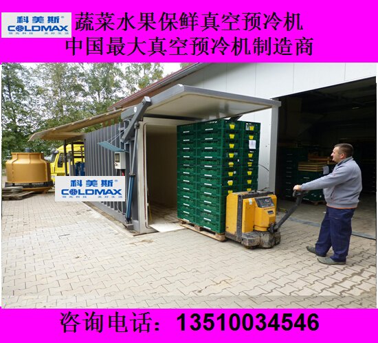 鲜花保鲜真空预冷机 厂家价格