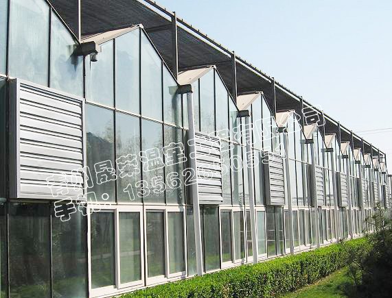 纹络温室建设【纹络温室造价】纹络温室建造技术