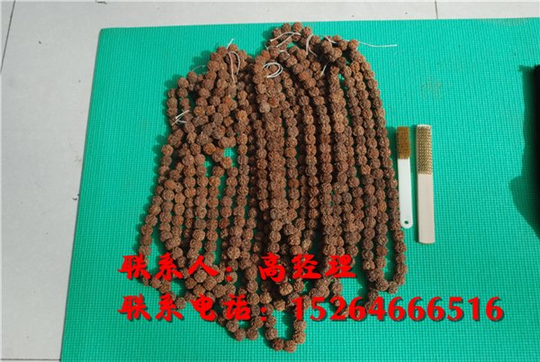金刚菩提子价格_尼泊尔金刚菩提子_金刚菩提子批发