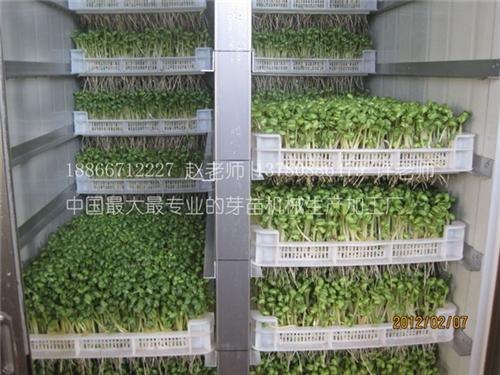阳泉芽苗机_青州庆华豆芽机_新型芽苗机