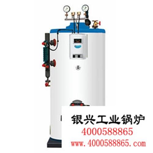 蒸汽发生器_05吨蒸汽发生器图_银兴锅炉