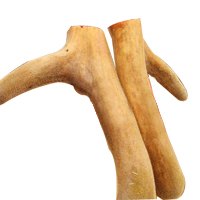 采购最优质的鹿茸鹿血—首选镇江兴和鹿业
