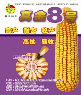 种子供应 中国种子交易网